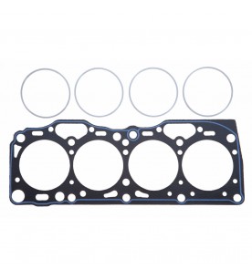 Fiat 1.4L 8v Uno Turbo, Punto GT Athena Cut Ring Racing... 2