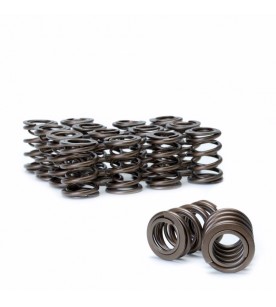 Honda B18C & B16A Ferrea Dual Valve Spring Kit (100lbs)