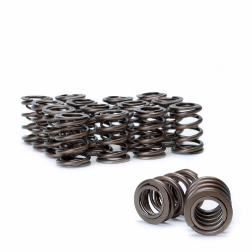 Honda B18C & B16A Ferrea Dual Valve Spring Kit (100lbs)