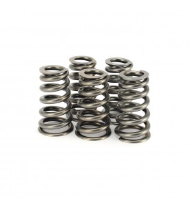 Nissan GT-R VR38DETT Ferrea Single Valve Spring Kit