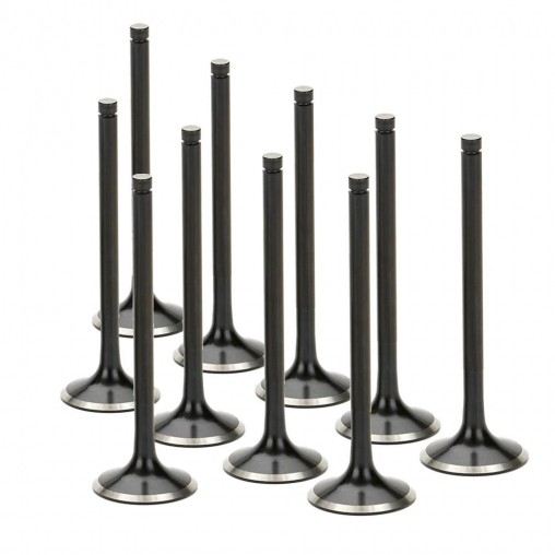 Audi 2.2L RS2 (S2) Supertech Intake Valve Set
