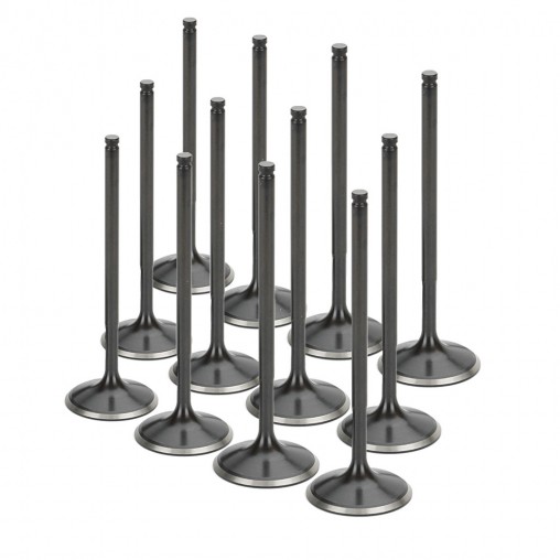 Audi 2.7L Turbo (APB) Supertech Exhaust Valve Set