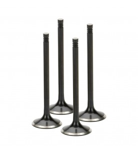 Supertech Black Nitrided Intake Valve Set
