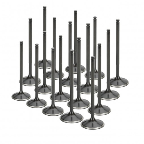 Audi 2.7L Turbo (APB) Supertech Intake Valve Set