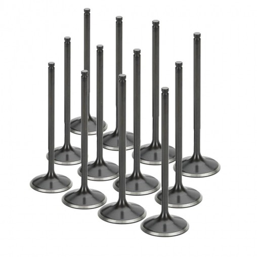 Audi 2.7L Turbo (APB) Supertech Exhaust Valve Set (Single Groove)