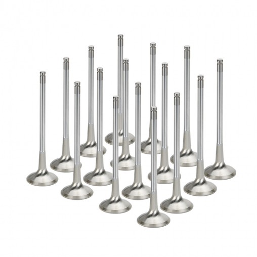 Audi A8 S4 RS6 4.2L 40v V8 Supertech Exhaust Valve Set (Single Groove)