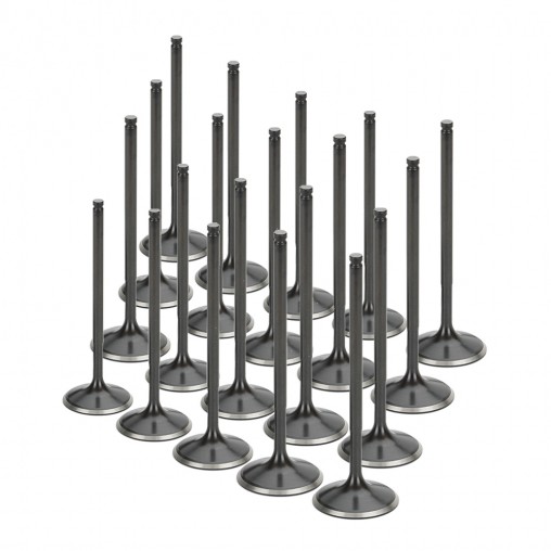 Audi 5.2L R8 V10 Supertech Intake Valve Set (Single Groove)