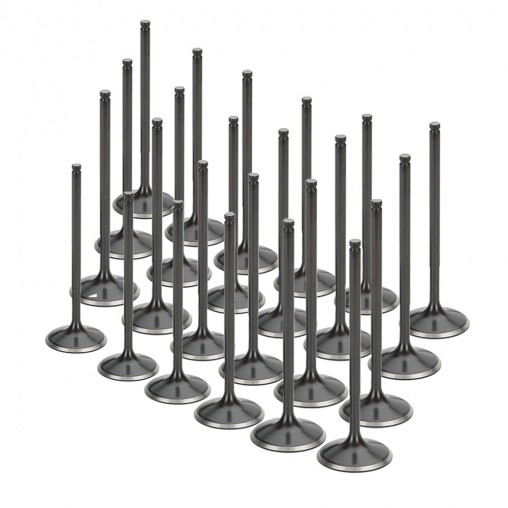 Audi A8 S4 RS6 4.2L 40v V8 Supertech Intake Valve Set (Single Groove)