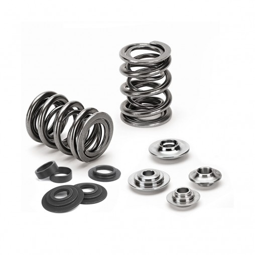 VW 2.8L VR6 12v Supertech Dual Valve Spring Kit