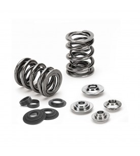 VW 2.0L 8v Supertech Dual Valve Spring Kit (Stem 8.0mm)