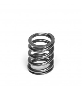 Audi 5.2L R8 V10 Supertech Single Valve Spring Set