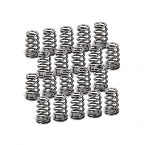 Audi 2.5L TT-RS, RS3 Supertech Beehive Single Valve Spring Set