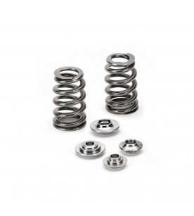 Ford GT 5.4L 32V Ferrea Beehive Valve Spring Kit