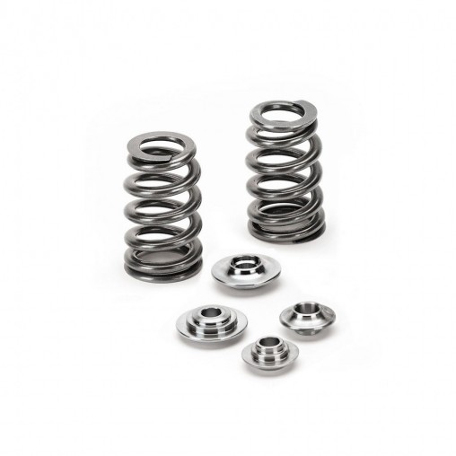 Ford GT 5.4L 32V Ferrea Beehive Valve Spring Kit