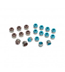 VW /Audi 1.8L 20VT / 2.0L TFSI Ferrea Intake Valve Seals