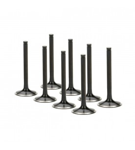 Honda K20, K24 Supertech Black Nitrided Intake Valve Set