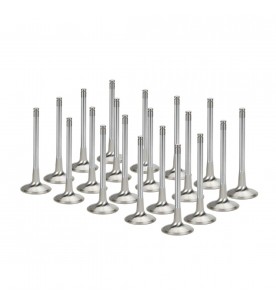 BMW S85B50 Supertech Inconel Exhaust Valve Set