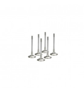 BMW M20B25 Supertech Inconel Exhaust Valve Set
