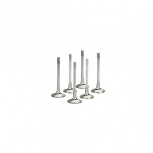 BMW M20B25 Supertech Inconel Exhaust Valve Set