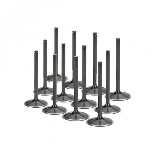 BMW N54B30 / N53B30 Supertech (Single Groove) Black Nitrided Intake Valve Set