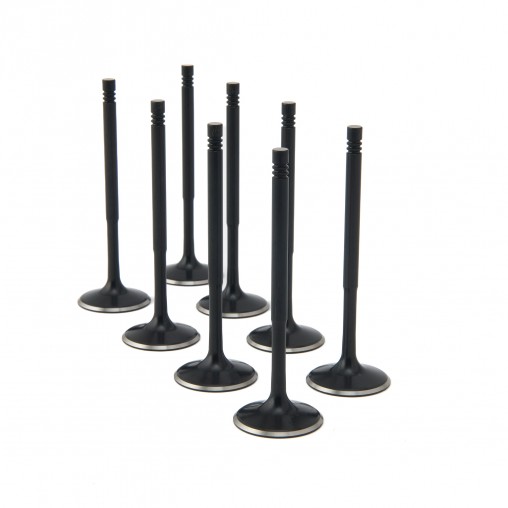 VW 1.4L TFSI (EA211) ZRP Intake Valve Black Nitride Std (Set of 8)