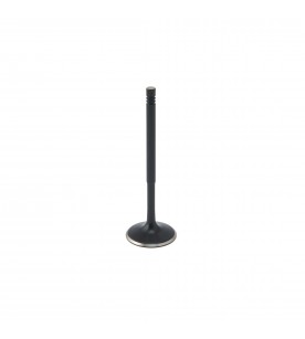 Audi 2.5L RS3, TT-RS ZRP Intake Valve Black Nitride... 2