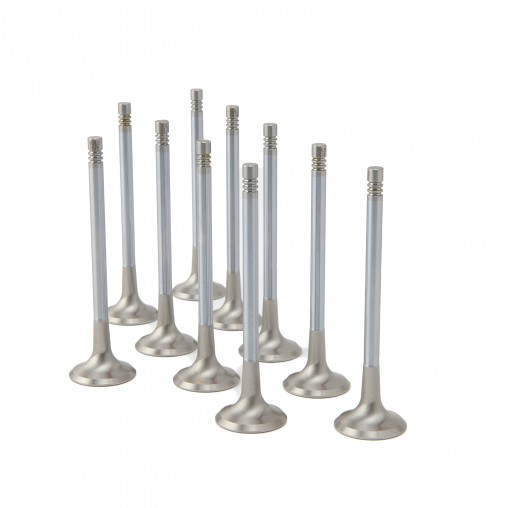 Audi 2.5L RS3, TT-RS ZRP Exhaust Valve Inconel +1.0mm (Set of 10)