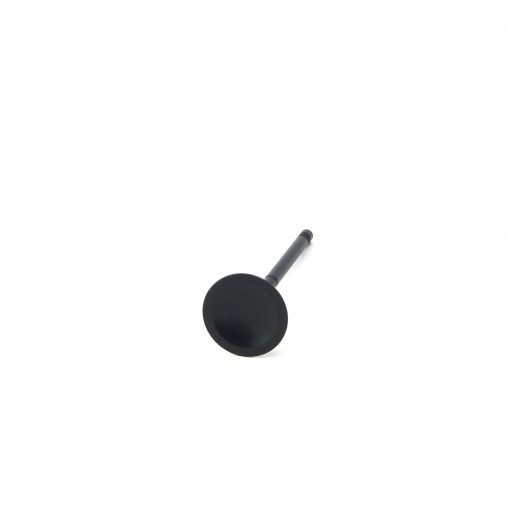 VW 2.0L TFSI ZRP Intake Valve Black Nitride Std (Set of 8)
