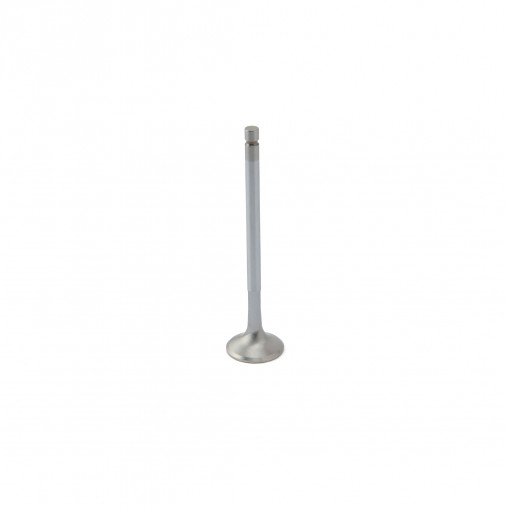 Citroen 1.6L TU5JP4 ZRP Exhaust Valve Inconel...