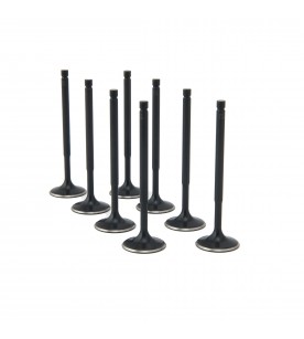 Citroen 1.6L TU5JP4 ZRP Intake Valve Black Nitride Std...