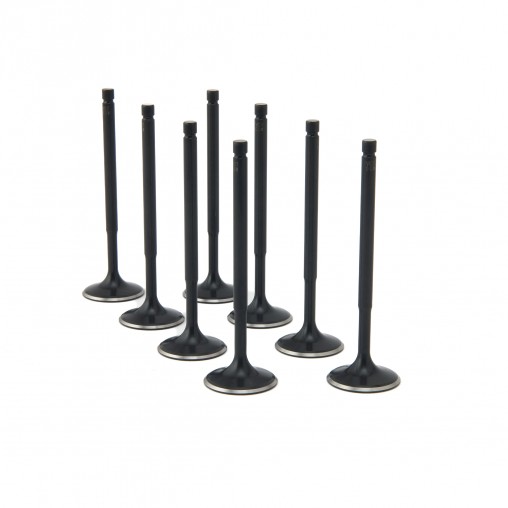 Citroen 1.6L TU5JP4 ZRP Intake Valve Black...
