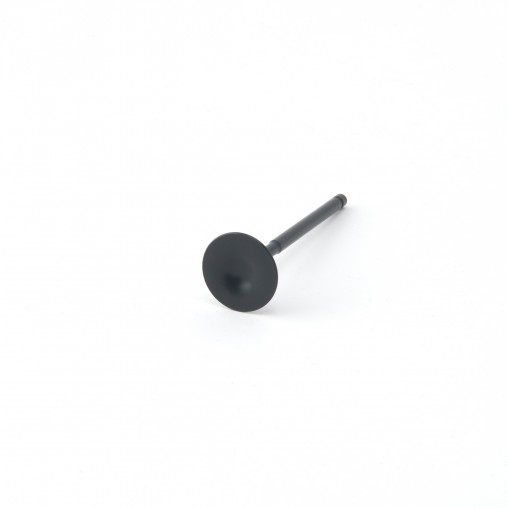 Citroen 1.6L TU5JP4 ZRP Intake Valve Black...