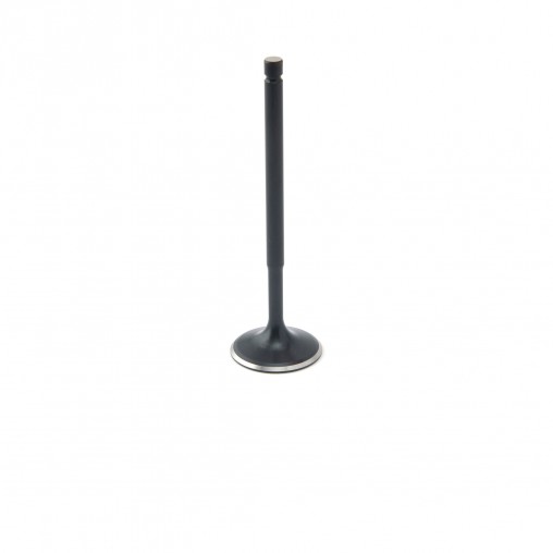 Citroen 1.6L TU5JP4 ZRP Intake Valve Black...