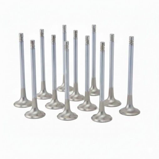 BMW 3.0L B58 ZRP Exhaust Valve Inconel Std (Set of 12)
