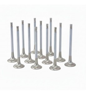 BMW 3.0L N55, S55 ZRP Exhaust Valve Inconel Std