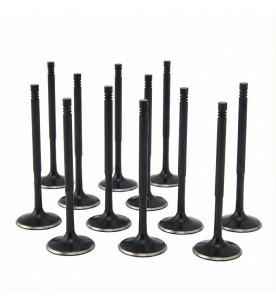 BMW 3.0L N55, S55 ZRP Intake Valve Black Nitride Std