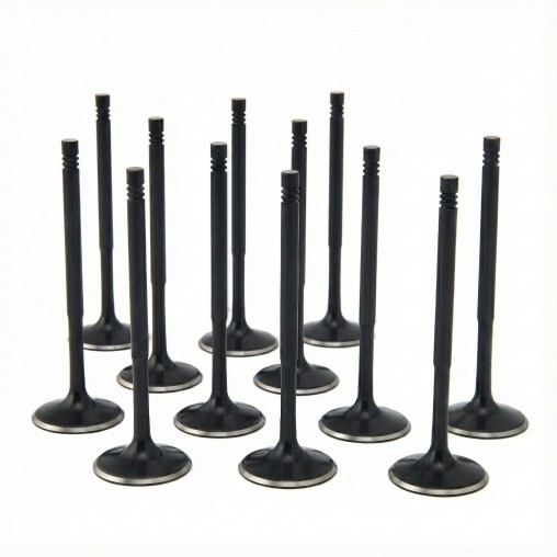BMW 3.0L N55, S55 ZRP Intake Valve Black Nitride Std