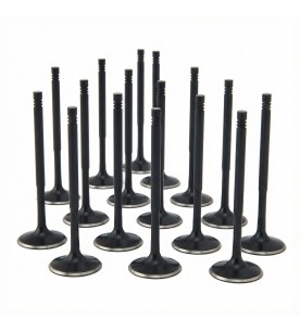 Audi 4.2L R8 32v 8v FSI ZRP Intake Valve Black Nitride...