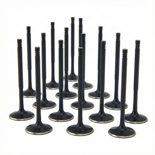 Audi 4.2L R8 32v 8v FSI ZRP Intake Valve Black...