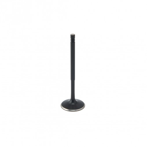 BMW 3.0L B58 ZRP Intake Valve Black Nitride Std...