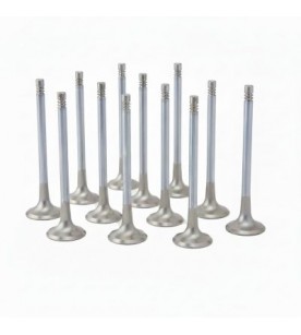 Audi 3.0L RS4, RS5 (EA839) ZRP Exhaust Valve Inconel...