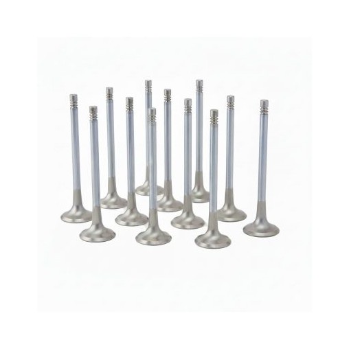 Audi 3.0L RS4, RS5 (EA839) ZRP Exhaust Valve Inconel +2.0mm (Set of 12)