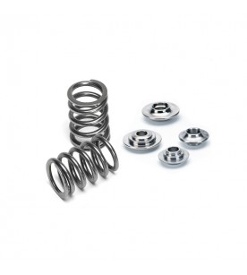 BMW / Mini 2.0L B48 Supertech 75lbs Single Spring kit